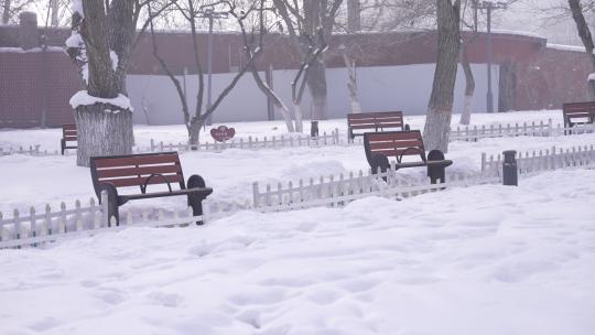 乌鲁木齐红山公园冬季雪景视频素材模板下载