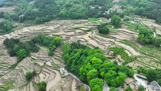 4K航拍贵州美丽梯田公路风景