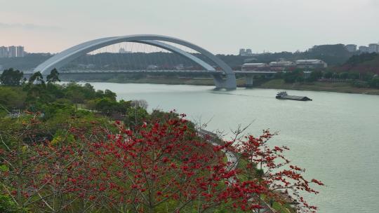 4K航拍南宁大桥视频素材模板下载
