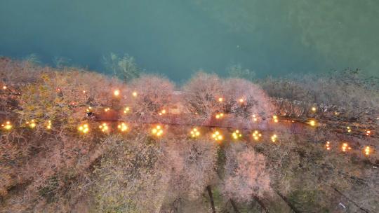 航拍武汉旅游5A级东湖景区灯光绿道湖景视频素材模板下载