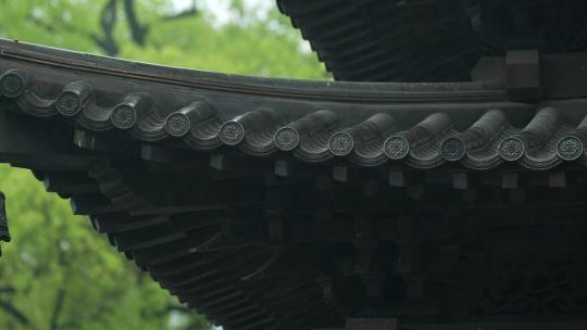 杭州钱王祠春天清明节雨天古建筑自然唯美