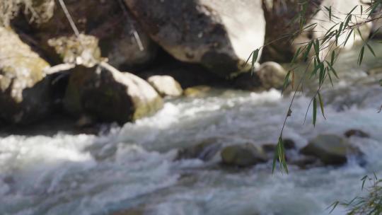 西藏林芝地区河流小溪地拍709视频素材模板下载