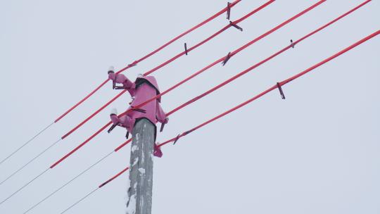 粉色材料的电线杆顶和电缆