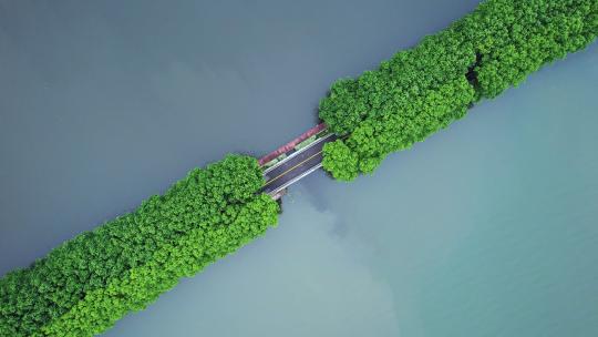 航拍武汉旅游地标5A级景区东湖绿道湖景视频素材模板下载