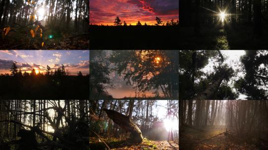 阳光穿过森林日落秋季森林原始森林丁达尔光