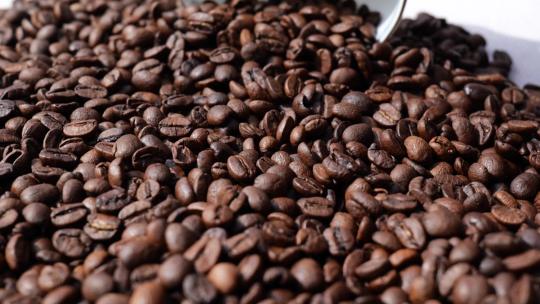 勺起咖啡豆咖啡豆咖啡原料上好的