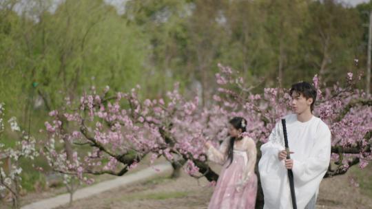 春天古装古镇情侣汉服学生风景桃花油菜花