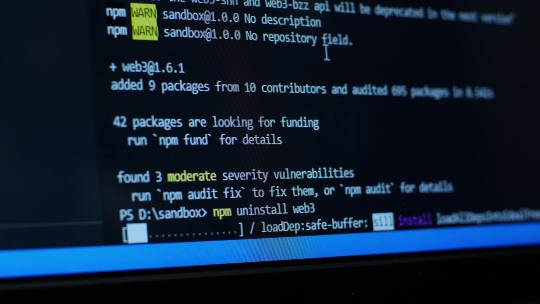 开发人员在计算机屏幕上查看超文本标记语言代码