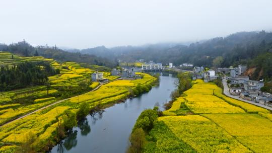 罗平九龙河坝口村螃蟹寨沿河村庄油菜花航拍