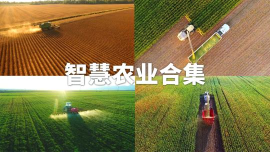 【合集】航拍现代化收割麦子玉米 智慧农业