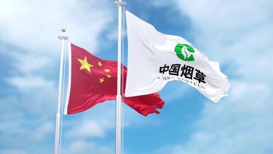 中国烟草旗帜迎风飘扬视频素材模板下载