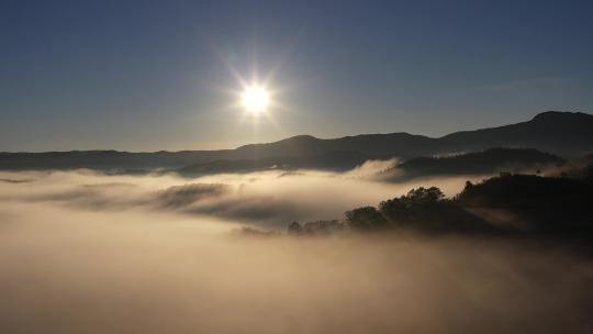 俯视航拍森林云雾的日落视频