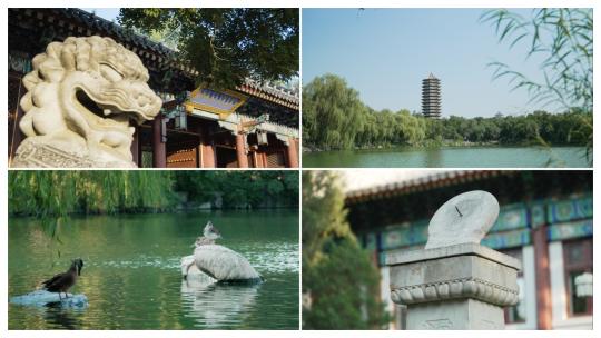 北京大学校园空镜合集视频素材模板下载