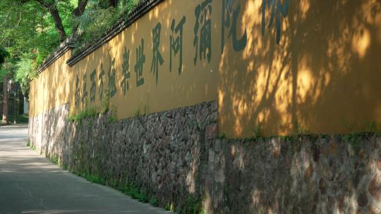 杭州上天竺寺庙围墙上洒满斑驳的树影