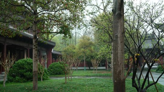 杭州钱王祠春天清明节雨天古建筑自然唯美