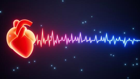 心率与心脏跳动曲线动画