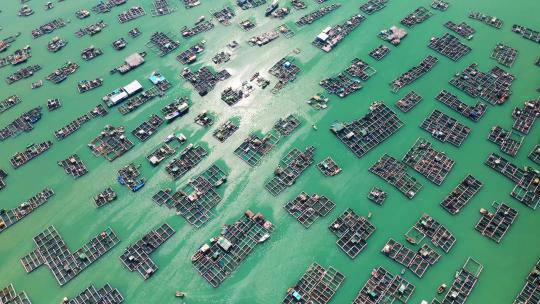 阳江海陵岛渔排海上人家