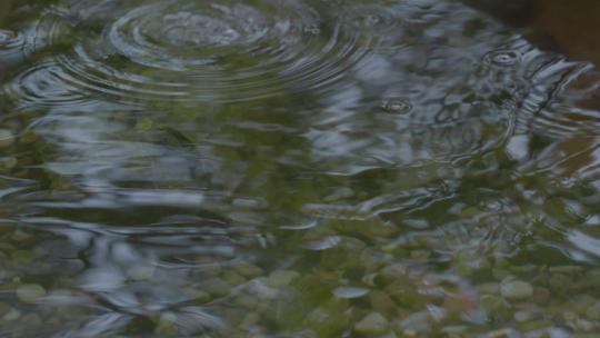 雨天雨滴滴在水里溅起水泡视频素材模板下载