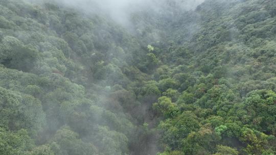 烟雨云雾缥缈的大山