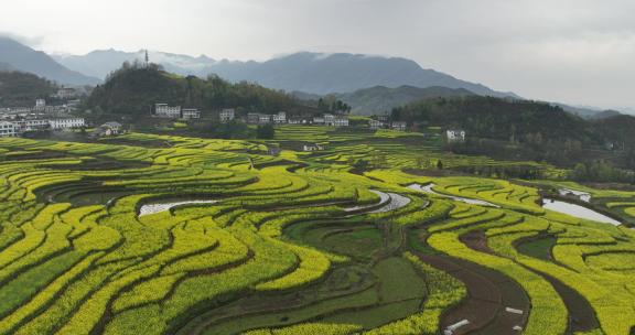 4k高清安康汉阴凤堰古梯田油菜花