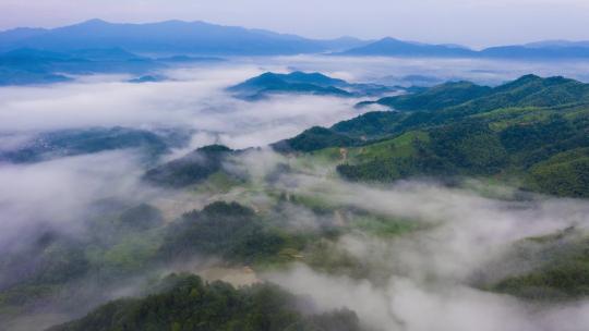 绿色 自然 山 云海