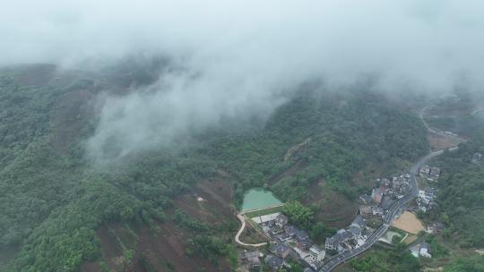 大自然森林茶园村庄云雾大山云海