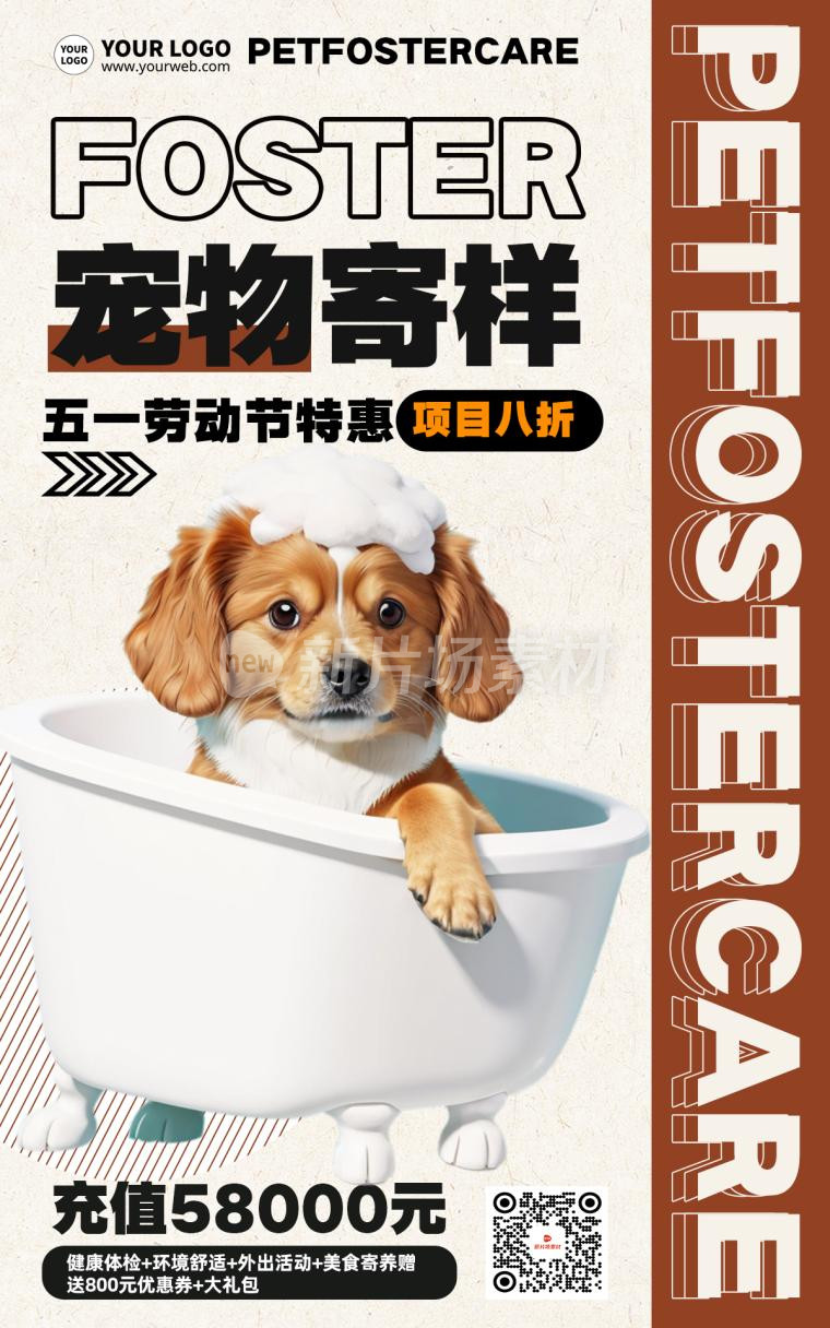 宠物寄养时尚创意营销海报