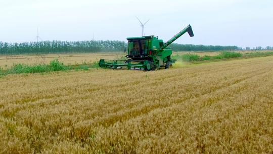 航拍一台大型收割机收割小麦