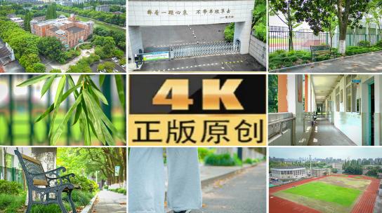 合集学校教室绿荫长廊脚步课桌墙标