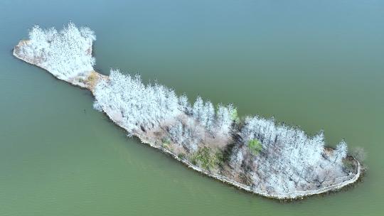 航拍武汉东湖停满了候鸟树林的岛屿