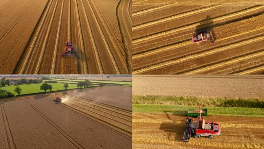 航拍大型收割机收割麦子小麦丰收农业