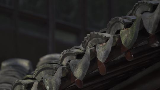 苏州园林 古镇 中式庭院 屋檐 树影 意向视频素材模板下载