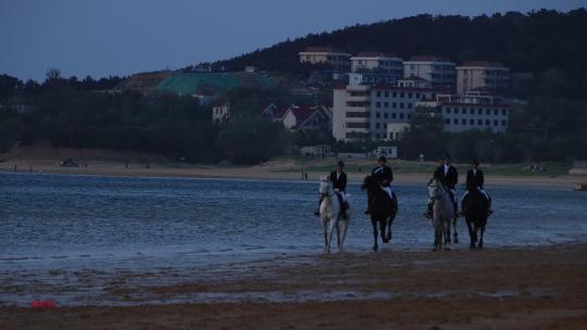 威海日落湾沙滩上策马奔腾的骑马人视频素材模板下载