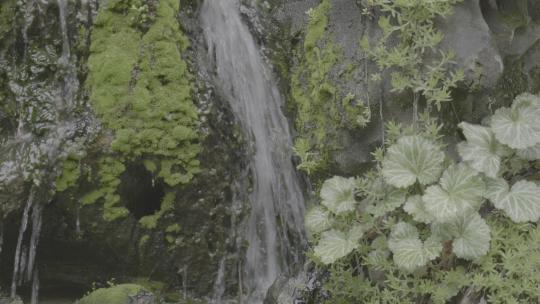 上天竺法喜讲寺实拍素材