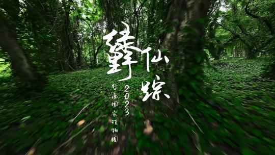 华南国家植物园绿野仙踪低空穿越航拍4K视频