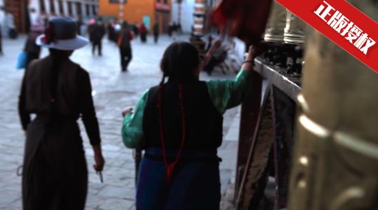 合集西藏朝圣牦牛马匹街头人文风景