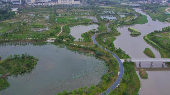 航拍厦门马銮湾双溪湿地公园