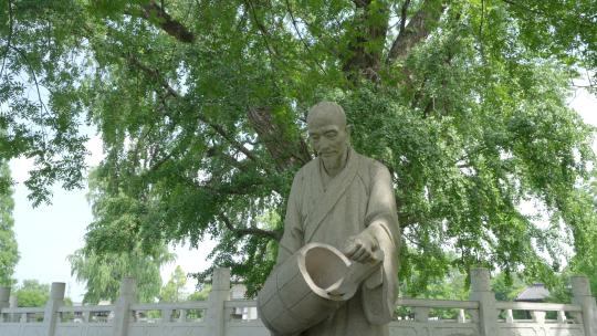 浦口汤泉 惠济寺 古银杏树 古树 南京古树