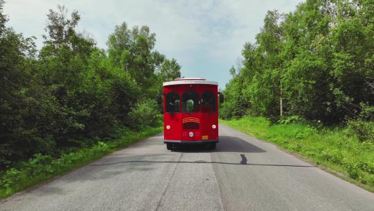 红色无轨电车游览阿拉斯加安克雷奇风景的正视图。无人机回撤