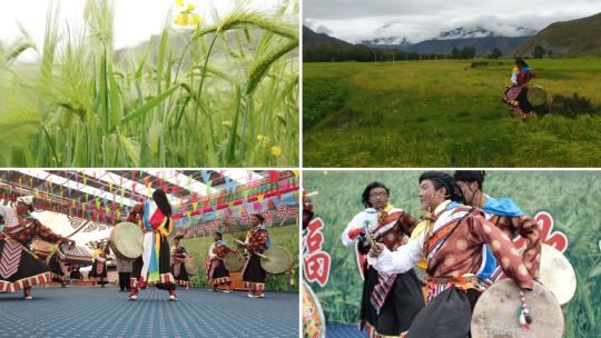 藏民藏农舞蹈庆祝丰收季节