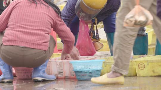 4kl1广东雷州海鲜市场视频素材模板下载