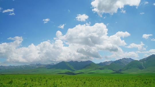 中国新疆那拉提草原