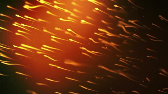 动画精子细胞游泳视频4K (3)