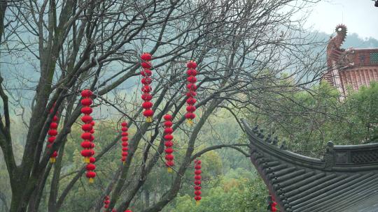 杭州上天竺寺庙古建筑飞檐前的树枝灯笼