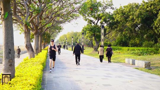 在公园跑步锻炼的人