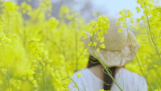 美女油菜花