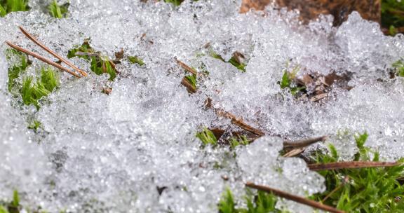 雪融化露出绿草的延时视频 