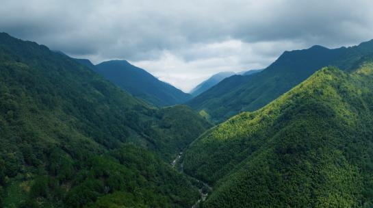 【4K】武夷山桐木关航拍光影变化延时