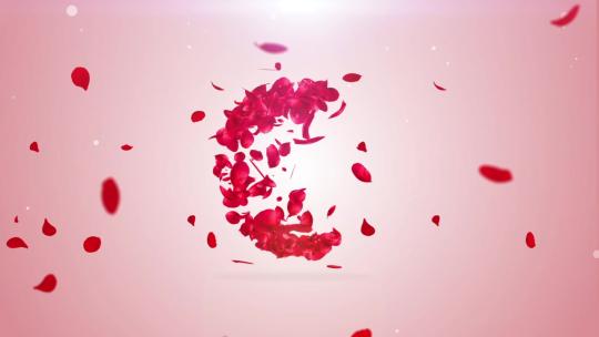 玫瑰花瓣揭示logo动画片头