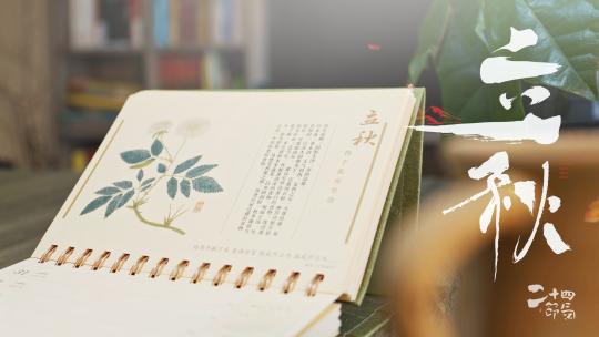 二十四节气之立秋 AE模版